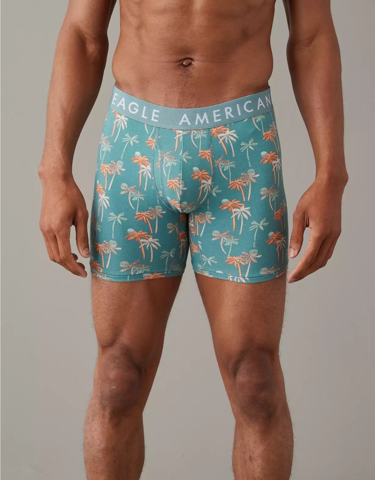 AEO Palms 6" Classic Boxer Brief 1 AEO Palms 6" Classic Boxer Brief