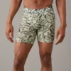 AEO Dollars 6" Classic Boxer Brief