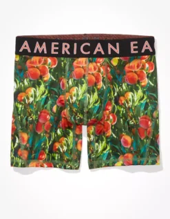AEO Peach Tree 6" Flex Boxer Brief -Aerie Fashion Shop 0236 3287 300 f