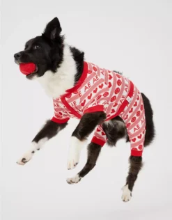 ABO Smiley Dog Pajamas