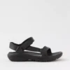 Aerie Tevas Hurricane Drift