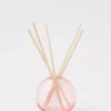 Aerie Paddywax Reed Diffuser