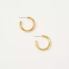 Aerie Demi Fine Chunky Medium Hoop Earrings