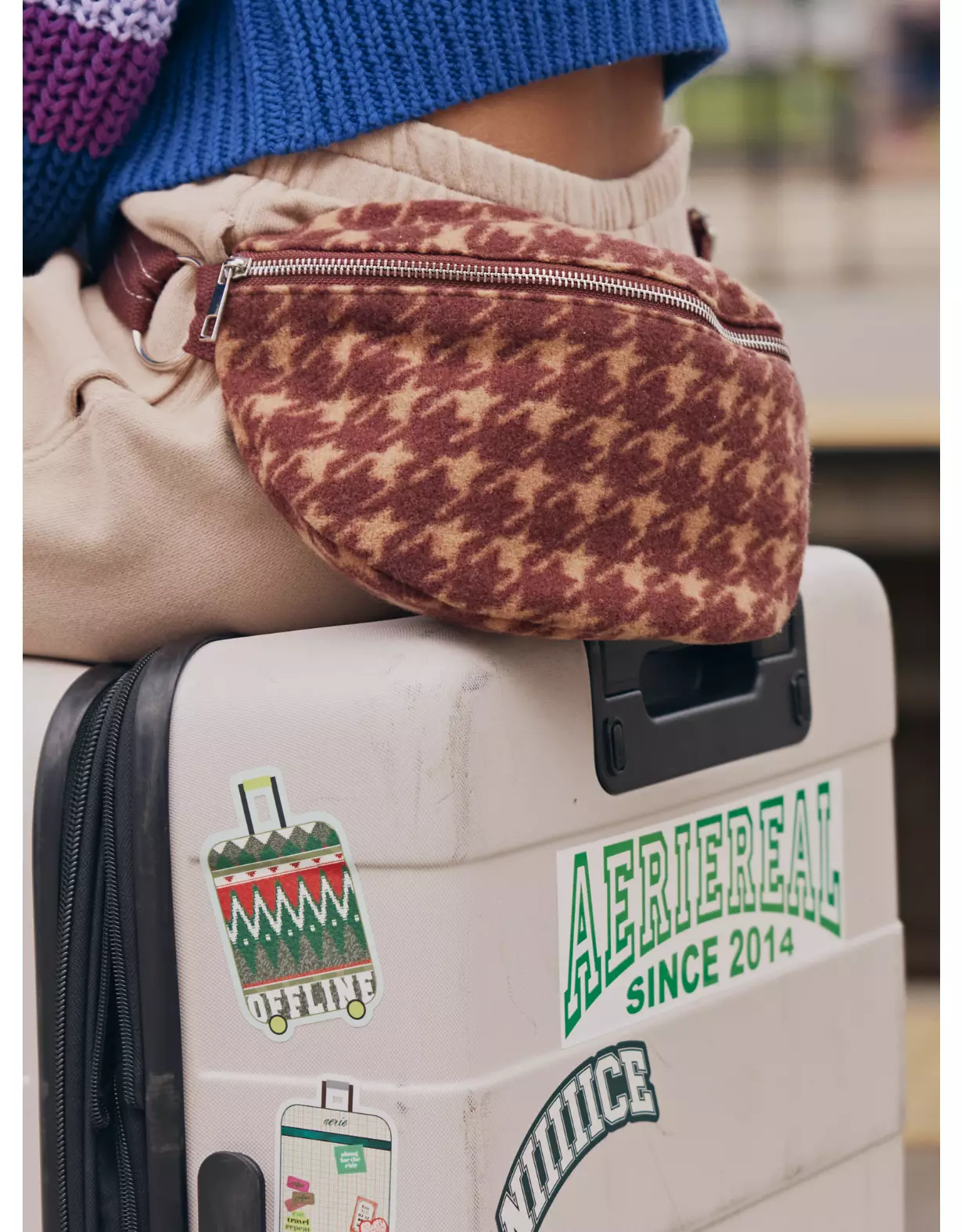 Aerie Plaid Fany Pack 1 Aerie Plaid Fany Pack