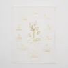 Aerie Elum Affirmations Art Print