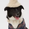 OFFLEASH By Aerie Pet Sherpa Bucket Hat