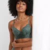 Aerie Show Off Plunge Push Up Rooftop Garden Lace Bra
